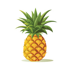 Pineapple illustration vector