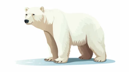 Foto op Canvas Polar Bear illustration vector © Vector