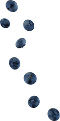 falling blueberry fruit - obrazy, fototapety, plakaty