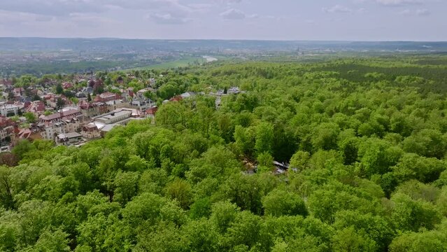 Aerial flight over the green Dresden Heide with the district of Dresden Loschwitz in summer.