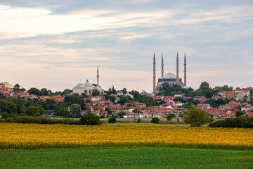 Selimiye Mosque in sunflowers, Edirne