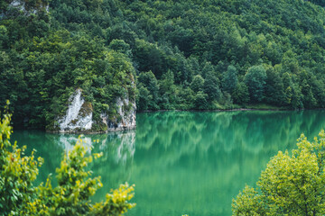 Fototapeta na wymiar Azure greenish water in a forest canyon, mountain river summer landscape, Tara national park