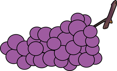 ぶどう（Grape）(PNG)