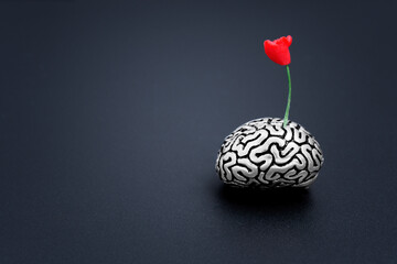 Rose Flower Grows in a Human Brain on Black