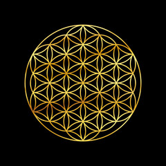 Flower of life gold symbol isolated on black background. Sacred geometry golden symbol