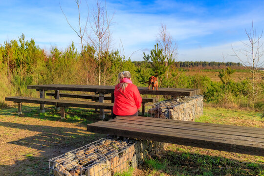 Female hiker with her dachshund taking break at rest area and viewing point, trees on plain in background, picnic table and bench, Hoge Kempen national park, sunny autumn day in As, Limburg, Belgium - Powered by Adobe
