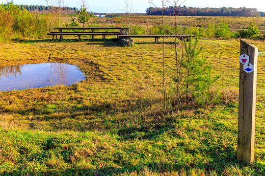 Hiking route signage at rest area and viewpoint on plain, trees in background, picnic table and wooden bench, yellowed grass, Hoge Kempen national park, sunny autumn day in As, Limburg , Belgium