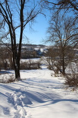 A snowy landscape with trees and a bridge in the distance