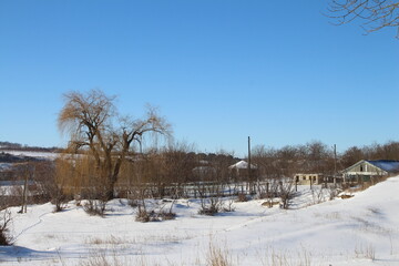 A snowy field with trees and a house in the background