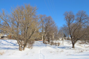 Obraz premium A snowy landscape with trees and a blue sky