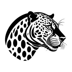 Fototapeta premium leopard head isolated on white