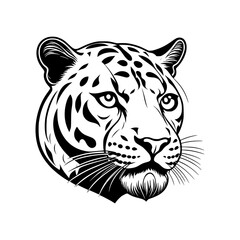 Jaguar Vector Illustration