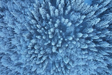 Winterwonderland von oben