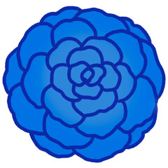 Blue rose flower.