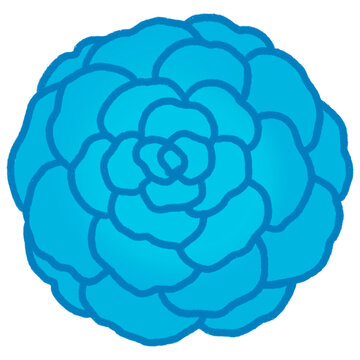 Blue rose flower.