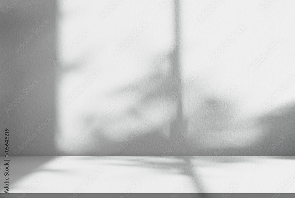 Poster grey studio background with light,leaves shadow on cement wall texture,empty whiteroom display for p