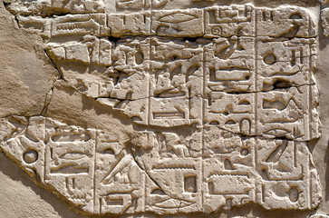 ancient hieroglyphs on a stone wall in egypt