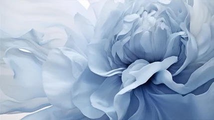 Poster Pioenrozen Gentle blue background with peony petals. Beautiful flower close up.