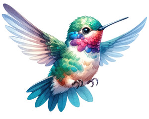 watercolor cute Hummingbird isolated on transparent background.