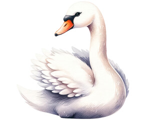 watercolor cute Swan isolated on transparent background