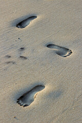Fototapeta na wymiar Texture background footprints of human feet on the wet sands of the beach