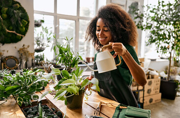 Tender care for plants. Beautiful african american woman standing by wooden table and watering green flowers in pots. Female store florist using gardening skills and knowledge at favorite work. - obrazy, fototapety, plakaty