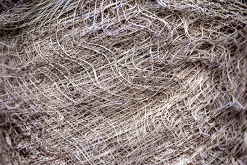 palm bark fibers close up