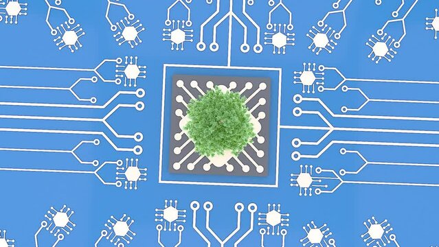 A growing tree rising at the intersection of a computer circuit board, Micro Scheme, and showing CPU processor. Concept for Green computing, Green technology, Green IT, CSR. 3d animation video