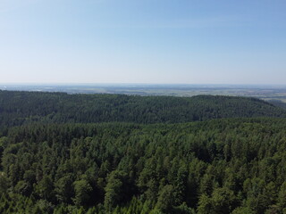 Aerial view of the forest and meadows and fields