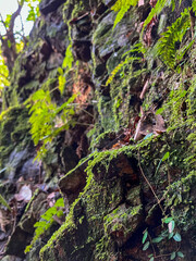 静けさのなかで。