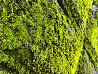 残していきたい色