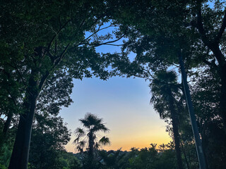 ようこそ、森へ