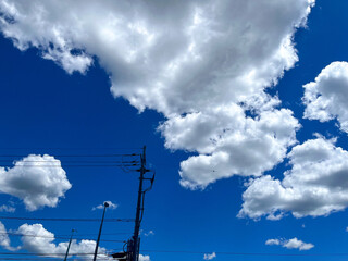 夏はもうすぐそこ