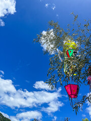 かえっていらっしゃい。