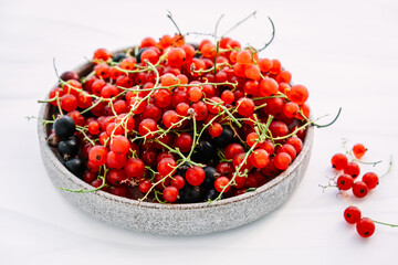 Fresh currants on light background. Farm berry.