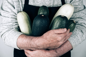 Zucchini in the hands of the farmer. Gardening, farming, and natural food concept.