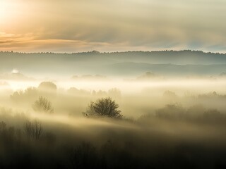 morning mist over the river