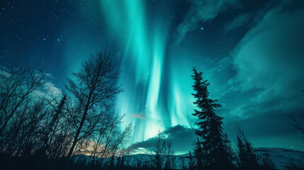 Naklejka premium Spectacular aurora borealis (northern lights) in the snowy forest. Winter landscape night scenery. Generative AI