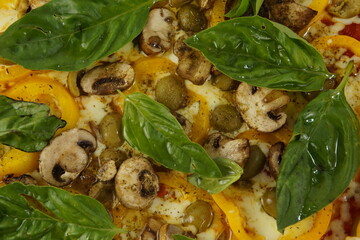 pizza
