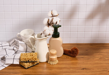 Washing dishes at home and ecological natural products for cleaning. Copy space for text.
