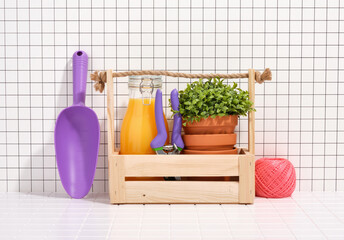 Wooden box with secateurs, green plant and juice. Garden ribbon and scoop.