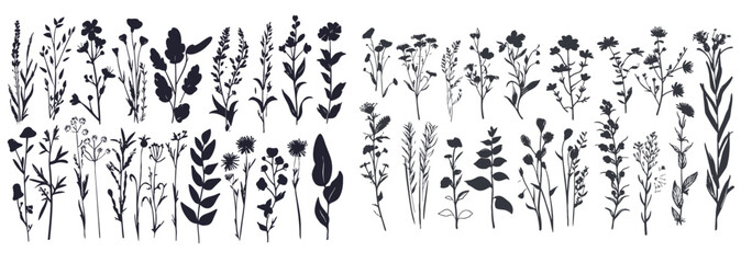 Hand drawn set of wild flowers silhouettes, branches, plants and herbs with leaves