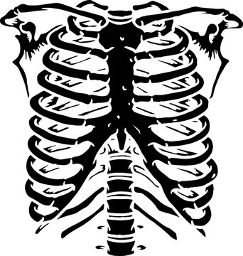 The sternum is black. T-shirt print for Horror or Halloween. PNG outline image illustration