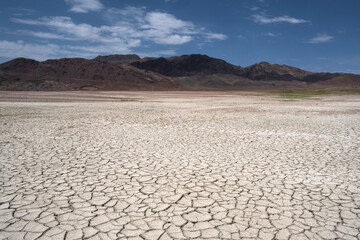 The deserted tokirs on ground are cracked from drought, the bottom of the lake is exposed, the...