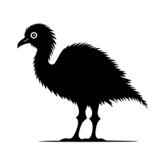 ostrich illustration