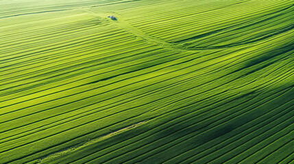 Wide banner Aerial view of cultivated agricultural