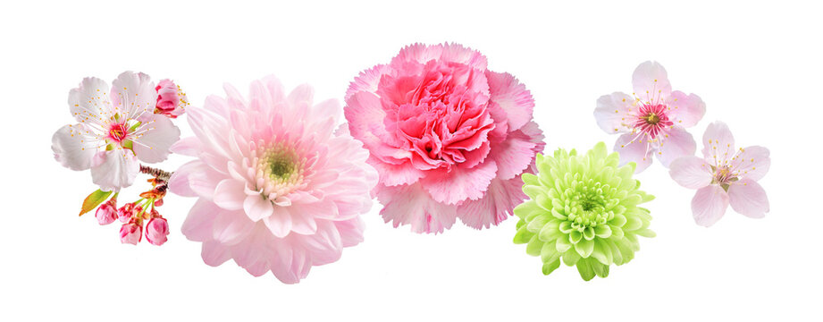 spring flower arrangement - Powered by Adobe