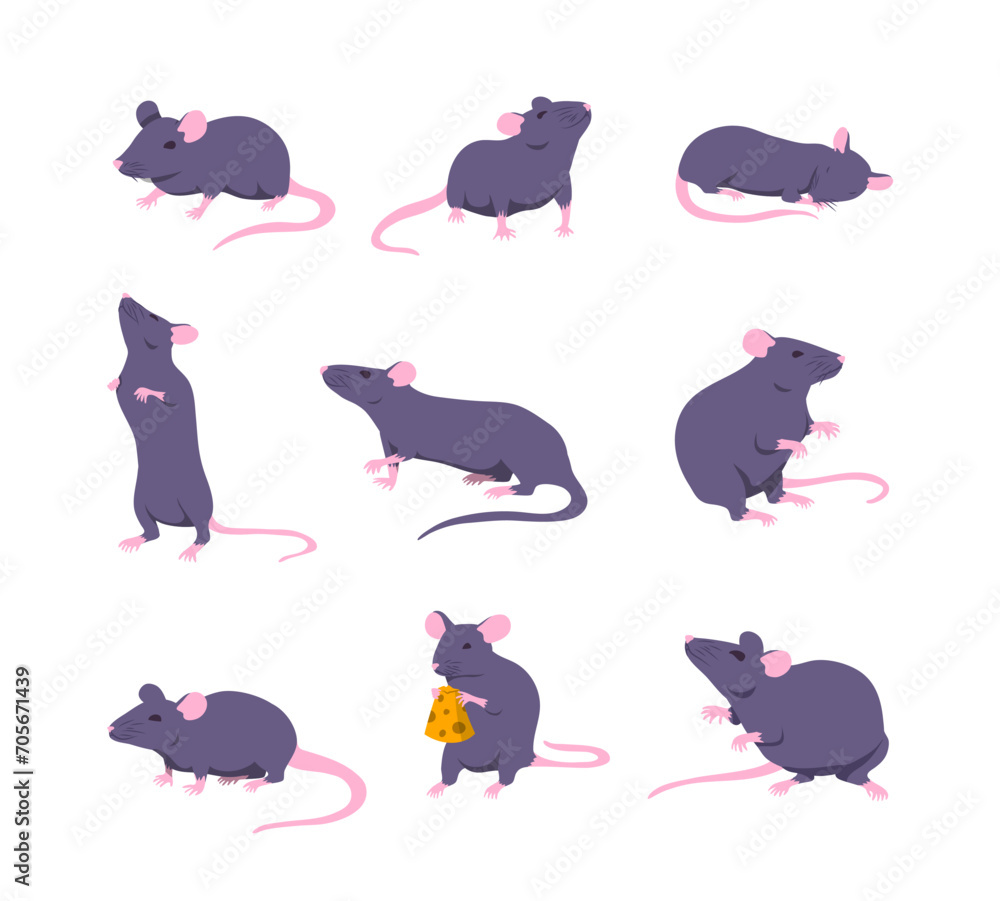 Poster cartoon color characters mouse and rat different poses set concept flat design style. vector illustr