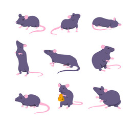 Cartoon Color Characters Mouse and Rat Different Poses Set Concept Flat Design Style. Vector illustration of Mice Animal