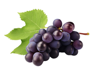 Ripe purple grape isolated on a transparent background